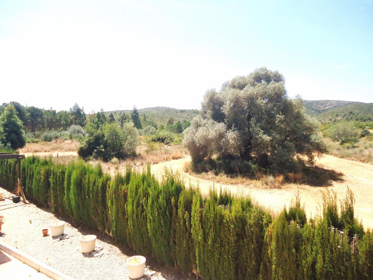 Los Olivos Residencial Lek Peñíscola 외부 사진
